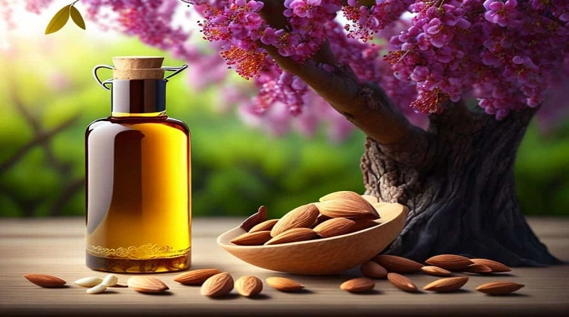 Almond 20 Best Medicinal Properties